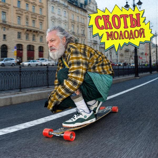скоты - молодой