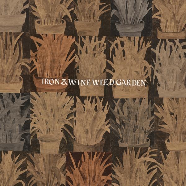 Iron & Wine - Waves of Galveston