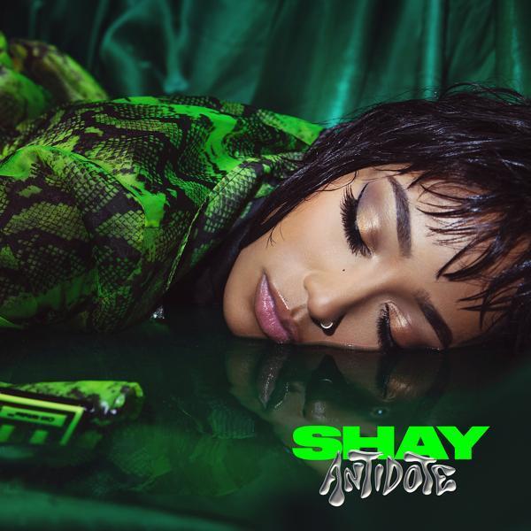 Shay - Notif