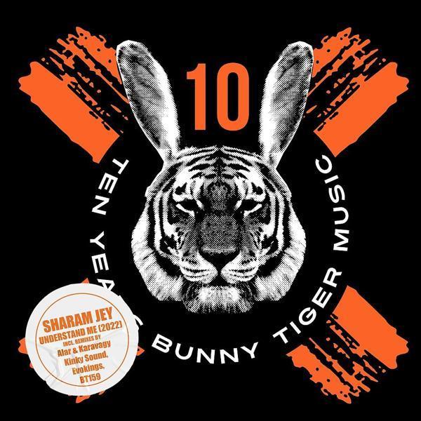 Sharam Jey - Understand Me (Kinky Sound Remix)