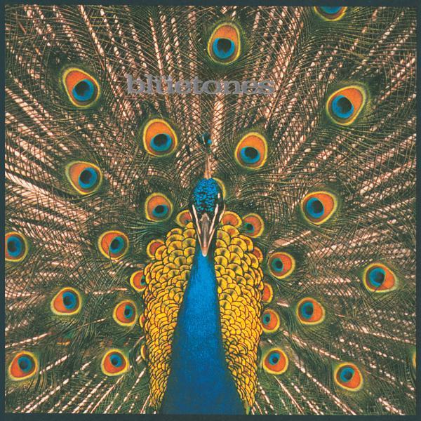 The Bluetones - Vampire