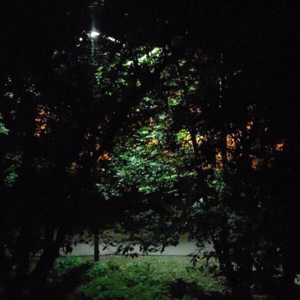 radiotehnika - ужас и красота