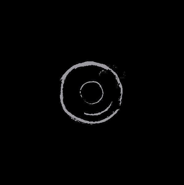 AYRYS - INTRO