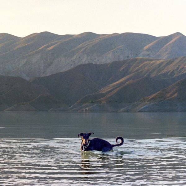 Overmono, St. Panther - Walk Thru Water