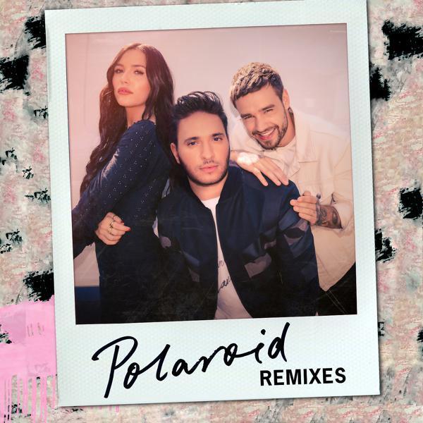 Jonas Blue, Liam Payne, Lennon Stella - Polaroid (Nolan van Lith Remix)