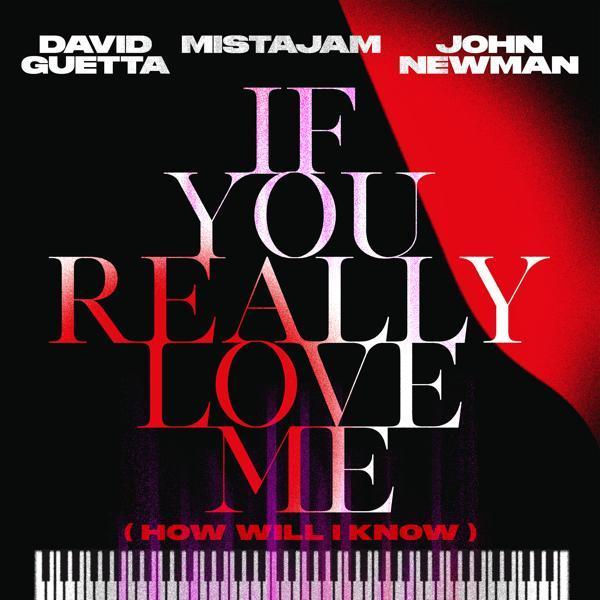 David Guetta, Mistajam, John Newman - If You Really Love Me (How Will I Know) [Extended]