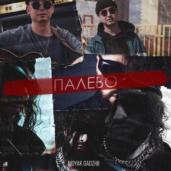 MOYAK, GADZHII - палево