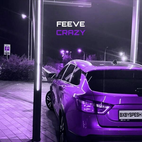BXBYSPESH, DANXHIRA - FEEVE CRAZY II